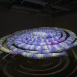 2025_園田 彩香_たしかにそこにある